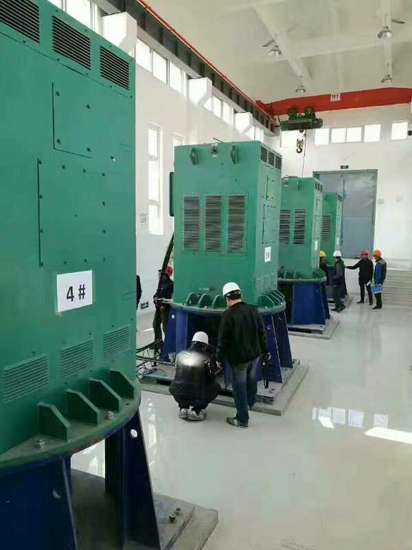 株洲某污水处理厂使用我厂的立式高压电机安装现场生产厂家