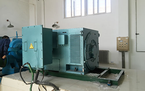 株洲某水电站工程主水泵使用我公司高压电机